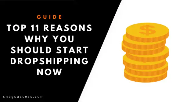 Top 11 Reasons Why You Should Start Dropshipping Now