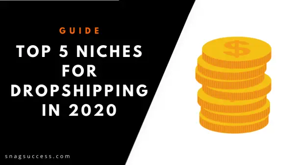 Top 5 Niches for Dropshipping in 2021