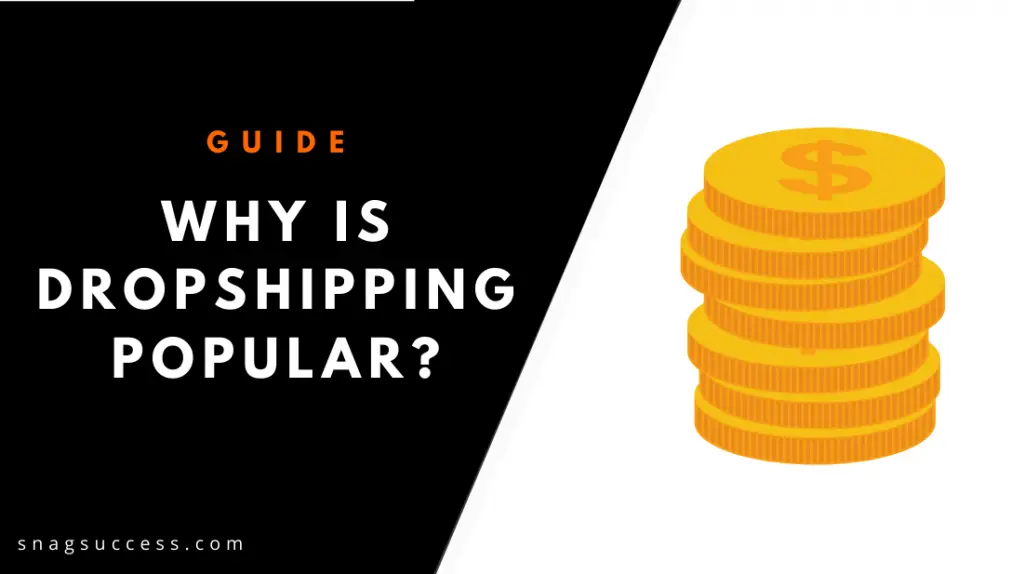 Why Is Dropshipping Popular?