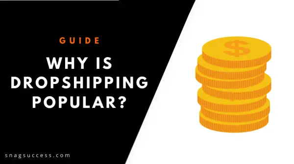 Why Is Dropshipping Popular