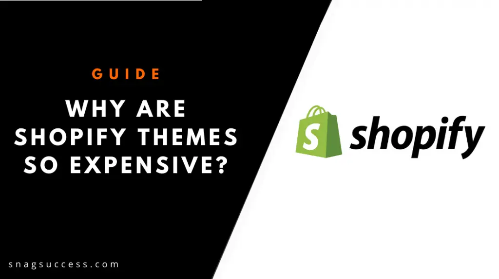Why Are Shopify Themes So Expensive?
