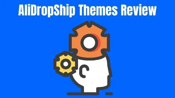 AliDropShip Themes Review